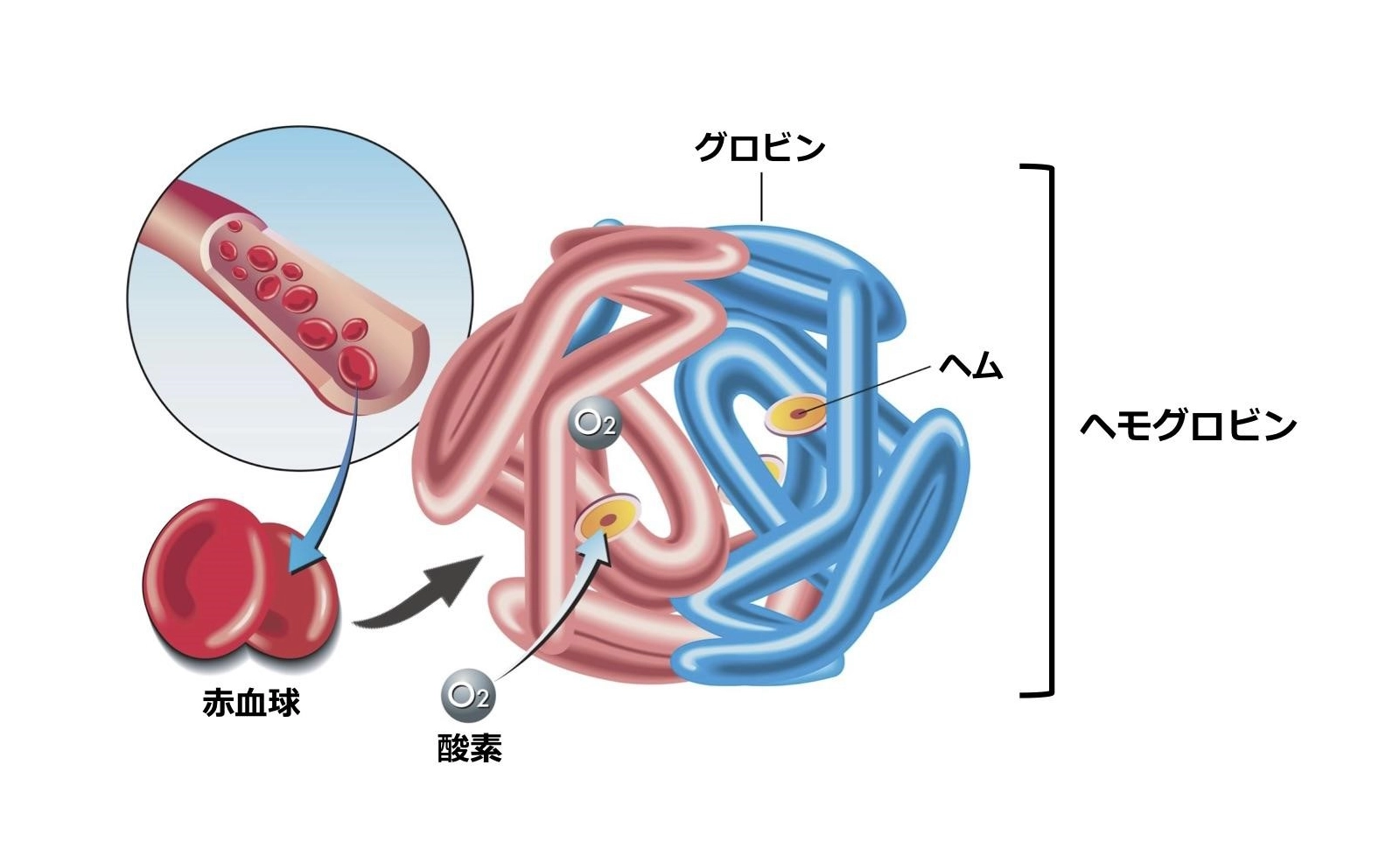 外脛骨障害の診断_外脛骨部の圧痛評価